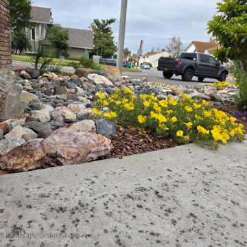 Irvine Turf Rebate Front Yard