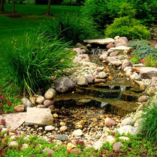 water garden