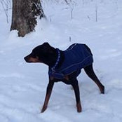 Jackie Allen's photo