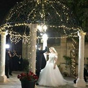 Whitney Vella's photo