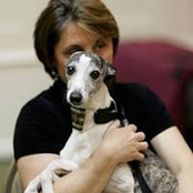 Patricia Spinazzola's photo