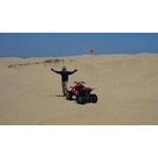 David Eisenman's photo