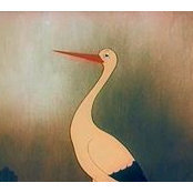Stork Stork's photo