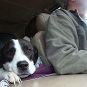 Lee Rumora's photo