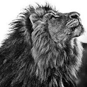Vikram Chachras foto
