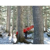 Ben Weinstein's photo