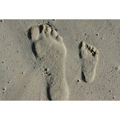 Michael Jordan's photo