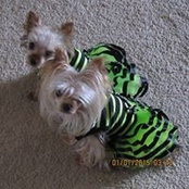 Teresa Finnicum's photo