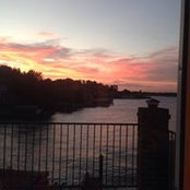 Foto von Betsy Vernier