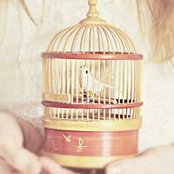 Fiona Ang's photo