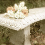 Foto von Analie Leatherman
