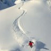 Tim Distler's photo