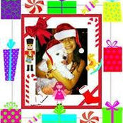 Angeliki Papagiannopoulos's photo
