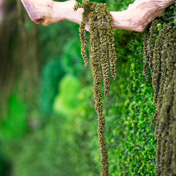 Preserved Moss Wall Art
