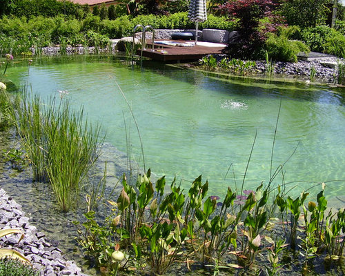Schwimmteich Ideen, Design & Bilder | Houzz