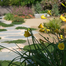 Front Garden ideas