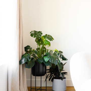 Scandi Sanctuary