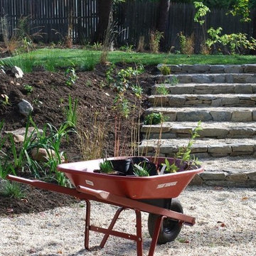 Backyard Hardscaping & Native Planting