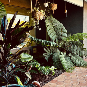 Tropical Modernism