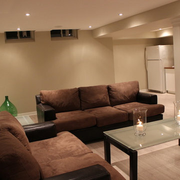Fenwick Residence Basement Design and Build