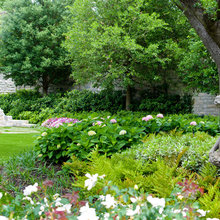 Landscape Ideas