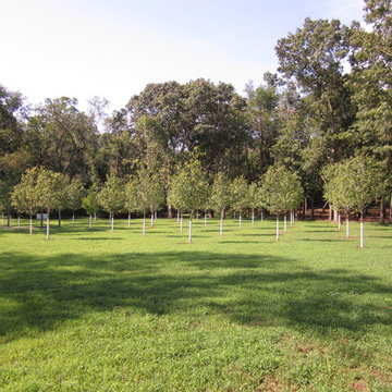 Meadow Passage