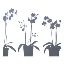 Window products