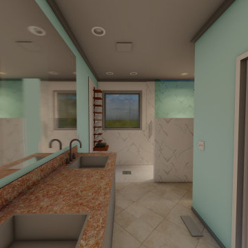 Handicap Bathroom Reno