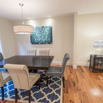 Reston Whole Townhome Remodel