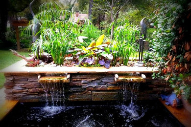 Koi Ponds + Water Gardens