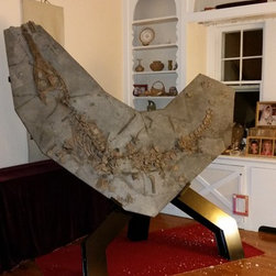 Crocodile fossil stand - Sculptures