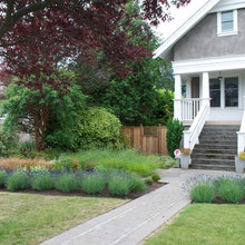 Frontyard - ECO