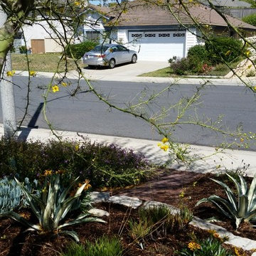 Sustainable front yard, recycled materials