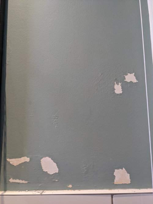 Peeling bathroom paint | Houzz UK
