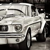 David Cope's photo