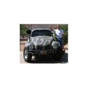 Jeffrey Brandt's photo