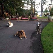 Foto de Debbie Harrell

