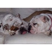 Amy Nolan's photo