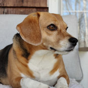 Candice Thies's photo