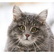 Maria Lelekova's photo