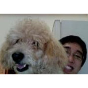 Foto de Brandon Tan

