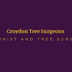 Croydon Tree Surgeons