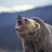 Diego Chiavegato's photo