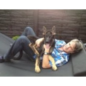 José Fernandez-Garcia's photo