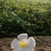Đặng Châu's photo
