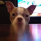 Mike Cautley's photo
