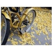 Kim Hauptman's photo