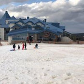 Lara Almousa's photo
