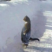Tihleigh Roach's photo