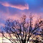 Carla Hurn's photo